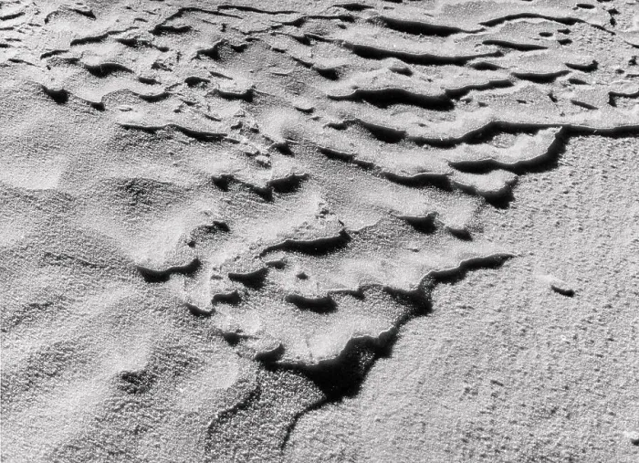 Stampa con cornice : Neve Stampa con cornice : Neve