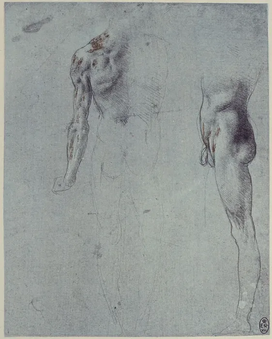 Gerahmter Druck : Anatomisches Studienstudio; Bleistiftzeichnung auf blauer Papier mit Silberfarbe, konserviert in der Bibliothek von Windsor Gerahmter Druck : Anatomisches Studienstudio; Bleistiftzeichnung auf blauer Papier mit Silberfarbe, konserviert in der Bibliothek von Windsor