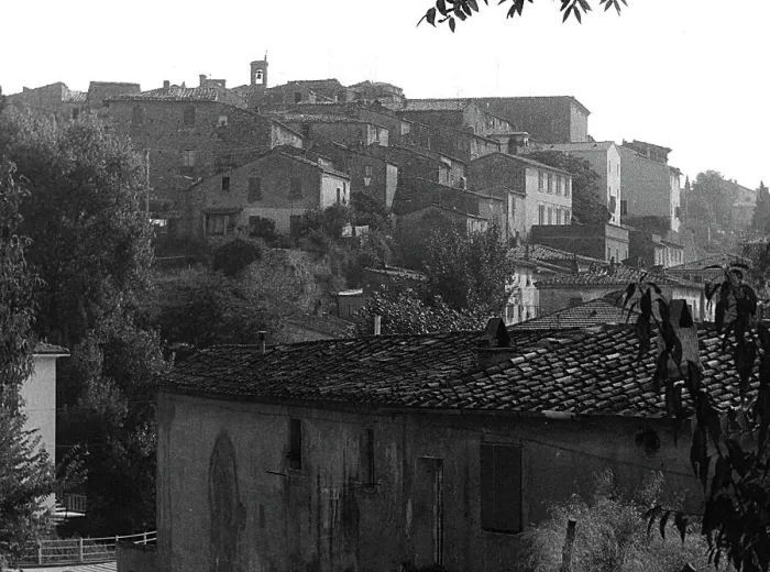Stampa con cornice : Bibbona