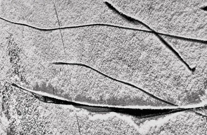 Impression encadrée : Rami sur la neige Impression encadrée : Rami sur la neige