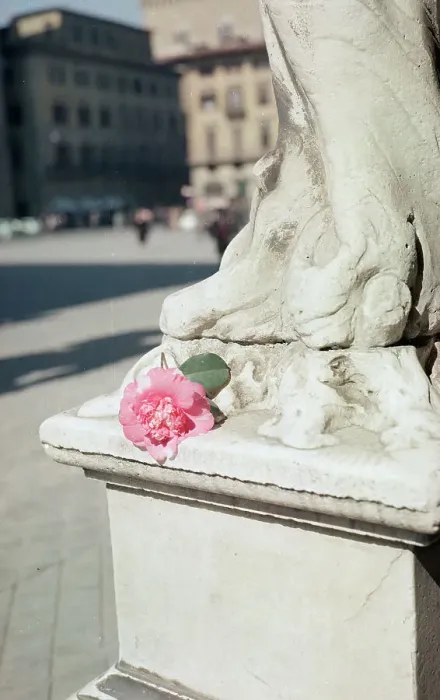 Impression encadrée : Camélias au pied d'une statue