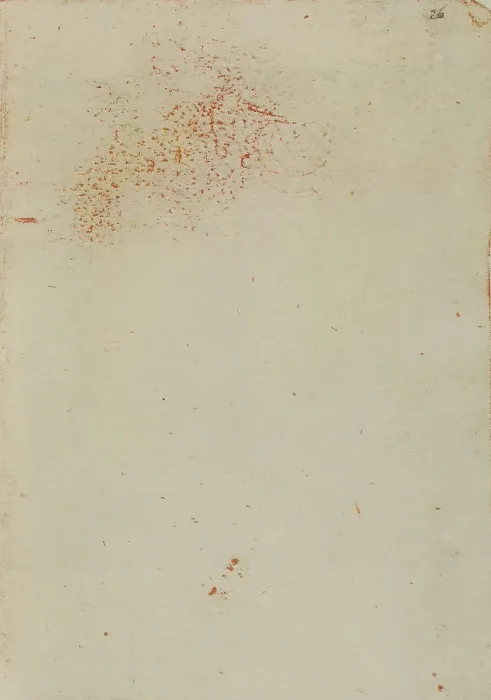 Stampa con cornice : Disegno appartenente al Codice Forster III, c.26r
