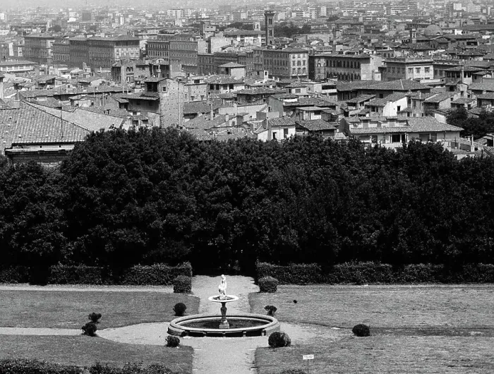 Stampa con cornice : Firenze Stampa con cornice : Firenze