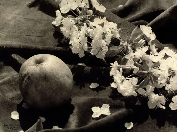 Gerahmter Druck : Blumenstillleben