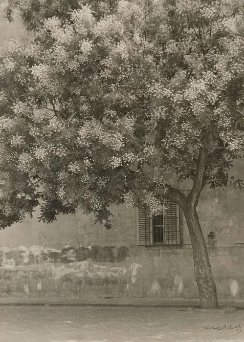 Impression encadrée : L'Albero fiorito