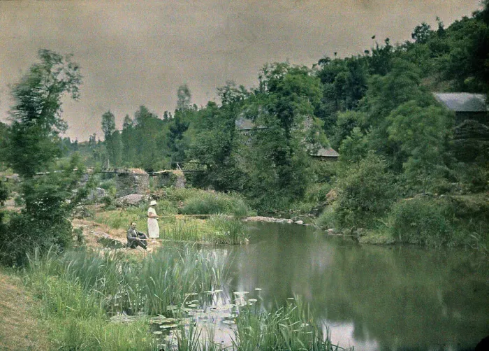 Gerahmter Druck : Ein Waldpanorama Gerahmter Druck : Ein Waldpanorama