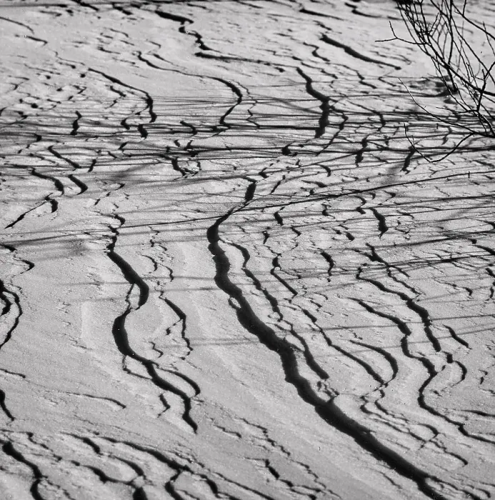 Stampa con cornice : Terreno