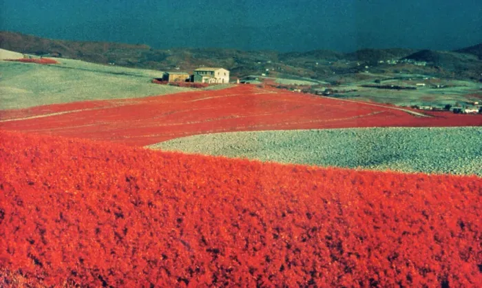 Gerahmter Druck : Landschaft mit Kirche
