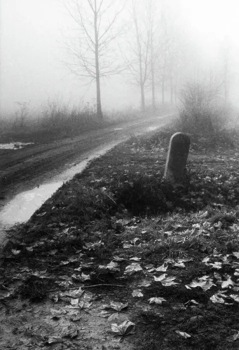 Impression encadrée : Landscape dans la brume