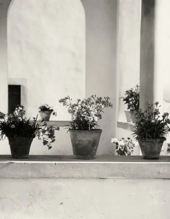 Stampa con cornice : 'The loge' Stampa con cornice : 'The loge'