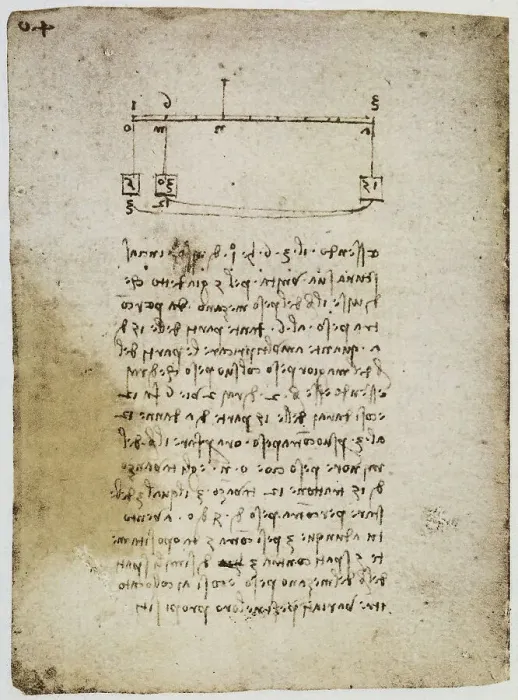 Stampa con cornice : Osservazioni di fisica; scritto appartenente al Codice Forster II Stampa con cornice : Osservazioni di fisica; scritto appartenente al Codice Forster II