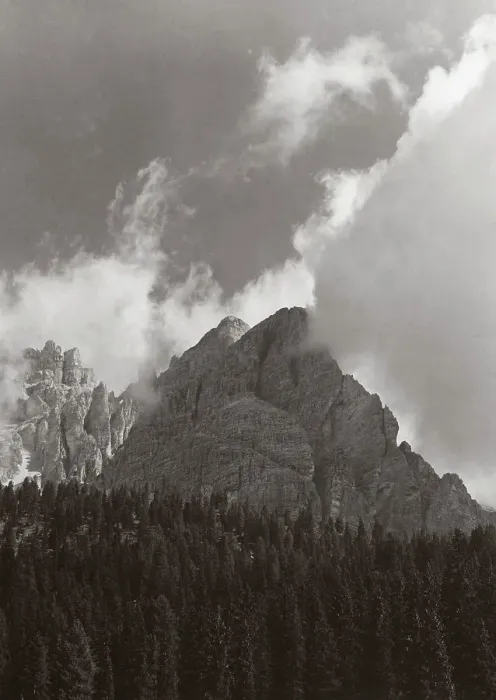 Stampa con cornice : 