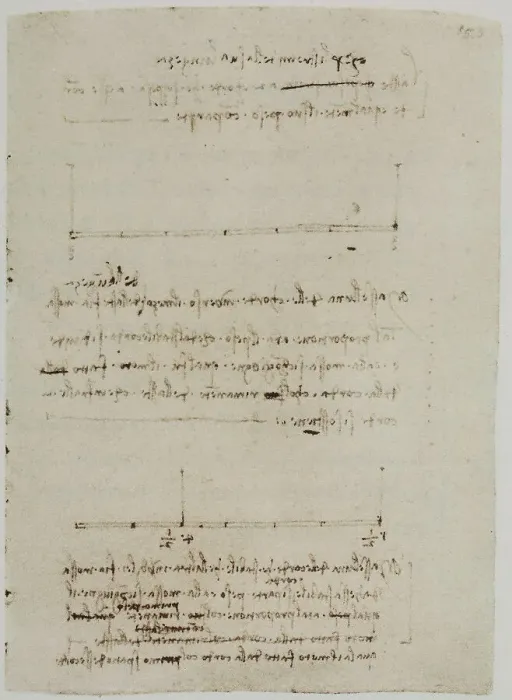 Stampa con cornice : Appunti di fisica; scritto appartenente al Codice Forster II Stampa con cornice : Appunti di fisica; scritto appartenente al Codice Forster II