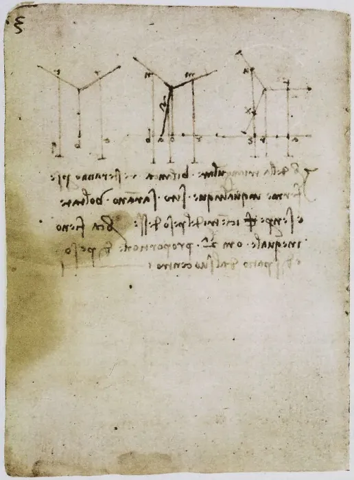 Stampa con cornice : Studio di fisica; scritto appartenente al Codice Forster II