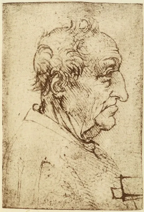Stampa con cornice : Profilo di uomo anziano, disegno a penna su carta bianca ingiallita eseguito