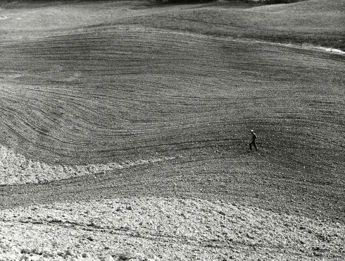Impression encadrée : La Terre Rouge de la Maremma Toscane