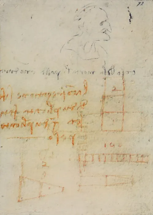 Stampa con cornice : Riflessioni e appunti di fisica; scritto appartenente al Codice Forster III