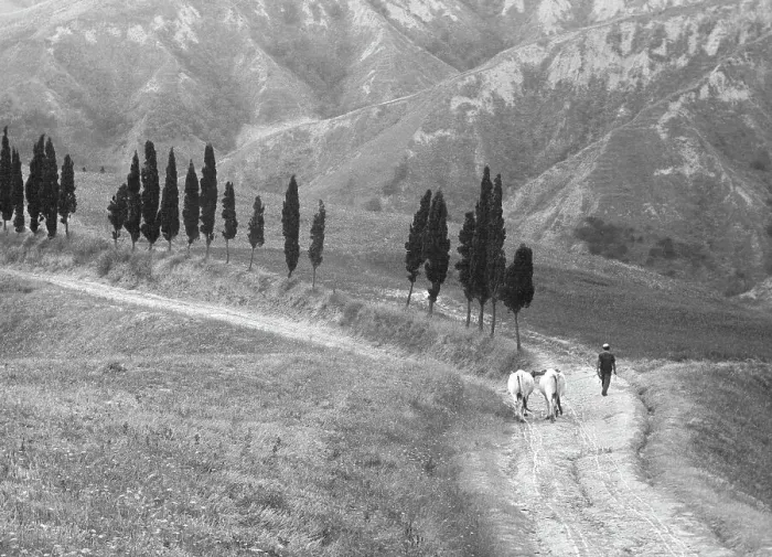 Stampa con cornice : Ritorno dai campi