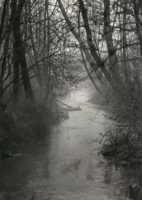 Stampa con cornice : Fiume nel bosco