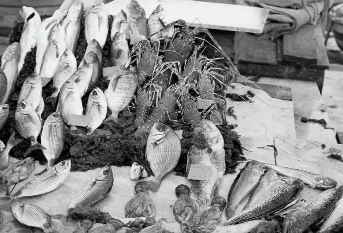 Impression encadrée : La Banque du Poisson