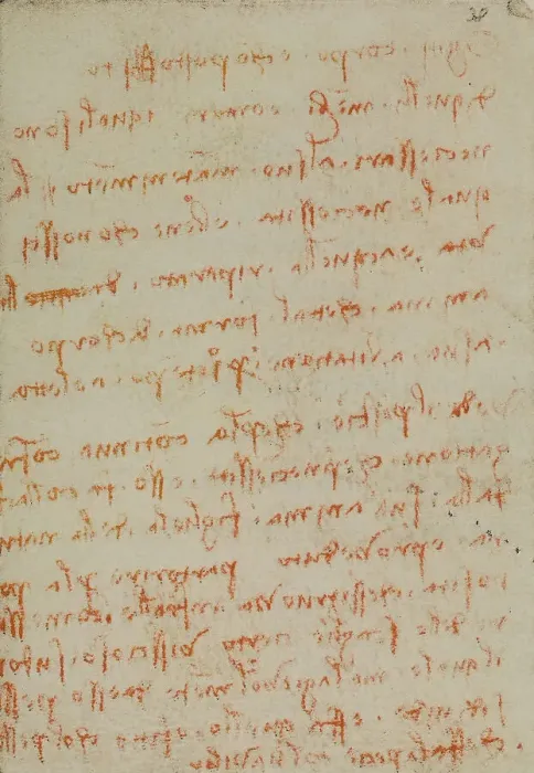 Stampa con cornice : Studio sui pesci; scritto appartenente al Codice Forster III