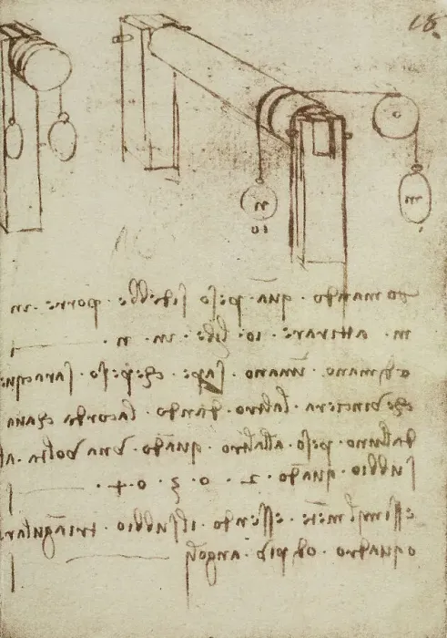 Stampa con cornice : Studio sui pesi; scritto appartenente al Codice Forster III