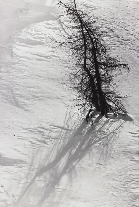 Stampa con cornice : 'Verso Val Fedox'