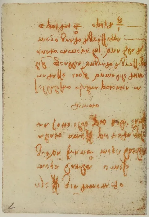 Stampa con cornice : Vari appunti e riflessioni di fisica; scritto appartenente al Codice Forster II
