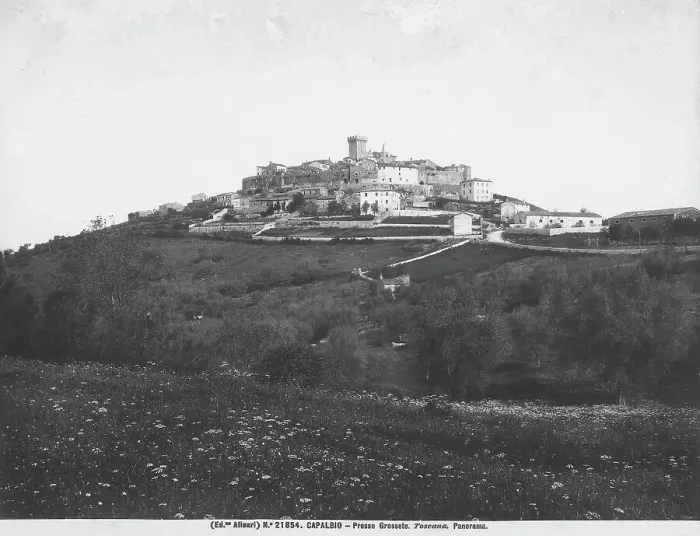 Gerahmter Druck : Panorama von Capalbio Gerahmter Druck : Panorama von Capalbio