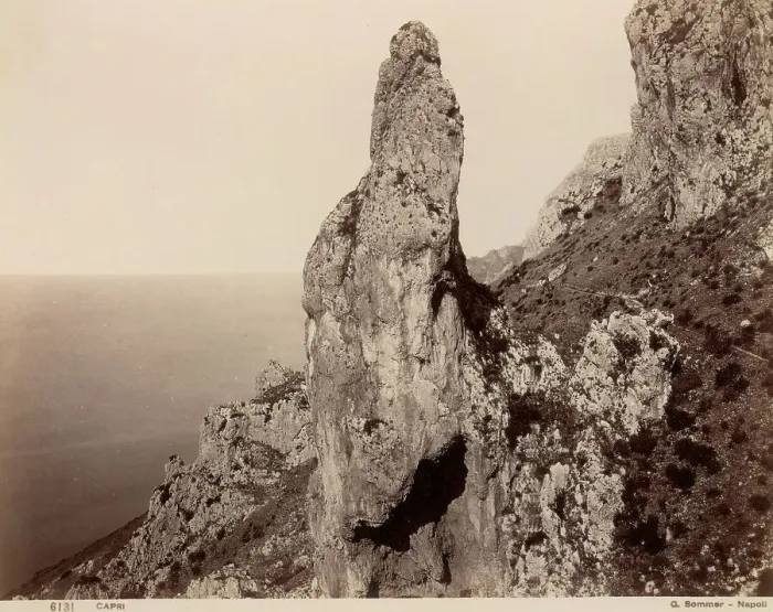 Stampa con cornice : 