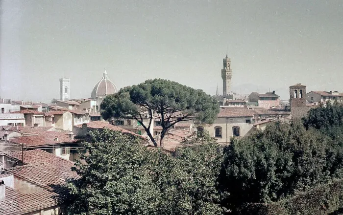 Stampa con cornice : Veduta di Firenze