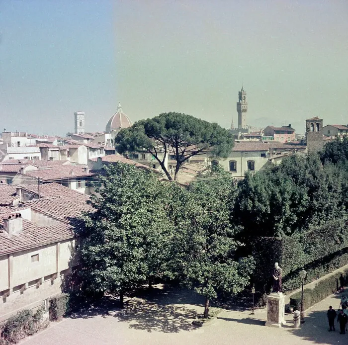 Stampa con cornice : Veduta di Firenze