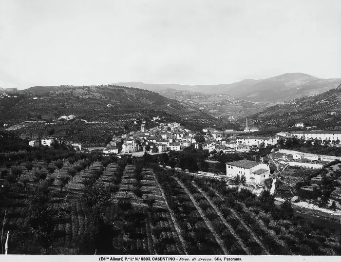 Stampa con cornice : Panorama di Stia