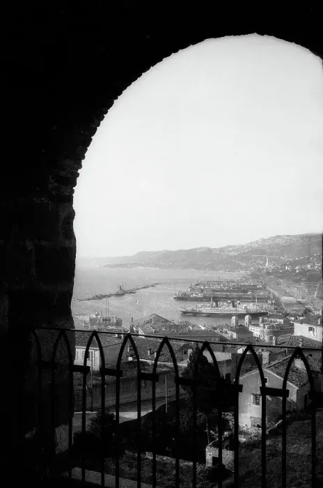 Stampa con cornice : Veduta di Trieste