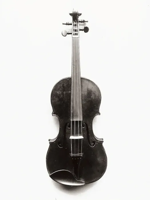 Stampa con cornice : Violino