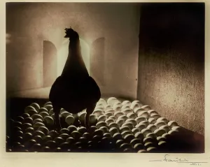 Animale Stampe: Animals, 1935