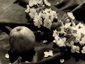 Fiore Stampe: 'Il fiore e il frutto'