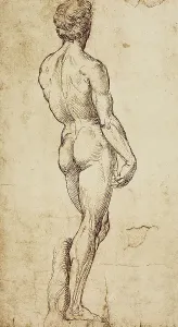 Collezione Di Belle Arti - Disegni Stampe: Studio di una figura maschile di spalle