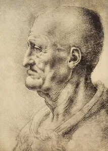 Collezione Di Belle Arti - Disegni Stampe: Testa di vecchio di profilo, disegno