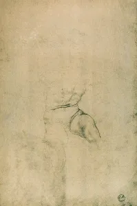 Collezione Di Belle Arti - Disegni Stampe: Nudo maschile, studio di Michelangelo conservato al Gabinetto dei Disegni e delle Stampe