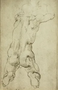 Collezione Di Belle Arti - Disegni Stampe: Studio di figura virile in ginocchio