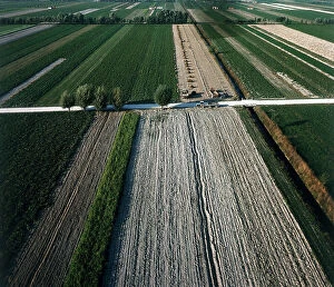 Images Dated 1st April 2011: Agricultural landscape of Basilicata