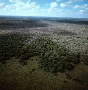 Images Dated 9th November 2009: From the air. Undergrowth in the savannah