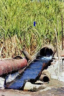 Images Dated 6th October 2011: Alto Egitto Luxor rudimentale irrigazione dei campi