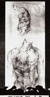 Images Dated 7th March 2008: Two anatomical studies. Drawing by Pontormo, in the Gabinetto dei Disegni e delle Stampe