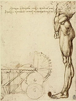 Images Dated 23rd May 2008: Anatomical study of the human body, by Leonardo da Vinci, pen drawing on white paper