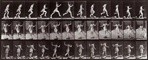 Images Dated 16th November 2007: 'Animal Locomotion' (plate 170): sequence of woman jumping amongst stones