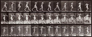 Images Dated 3rd December 2007: 'Animal Locomotion' (plate 175): sequence of woman walking on stones