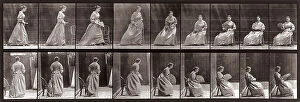 Images Dated 3rd December 2007: 'Animal Locomotion' (plate 240): sequence of a young woman with a fan sitting down