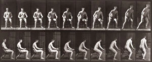 Images Dated 3rd December 2007: 'Animal Locomotion' (plate 265): sequence of nude man getting up off a chair